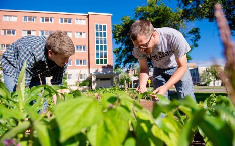Alex Bruns, left, and Tony Hayes tend the vegetables in their sustainable garden.
