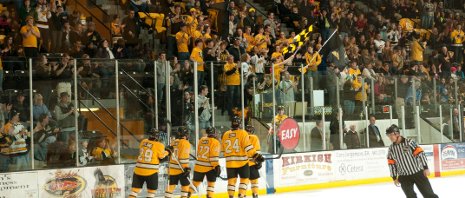 Fans at the John MacInnes Student Ice Arena cheer on the Huskies.