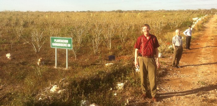 David Shonnard, Sustainable Futures Institute director at Michigan Tech,and Mexican industry representatives, visit a jatropha plantation near Merida, Mexico.