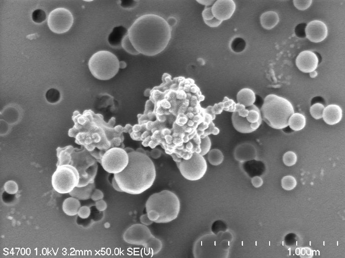 Soot and tar balls Field emission scanning electron microscopy image of tar balls with an aggregation of soot particles from the Las Conchas fire. Swarup China image