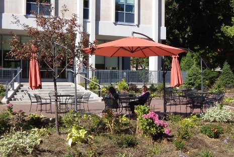 Students enjoy a break under the new umbrellas.