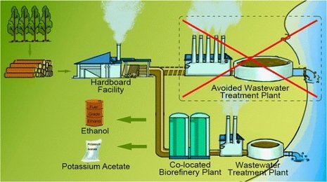 A co-located biorefinery and hardwood panel manufacturing plant.   Reprinted with permission from ACS Sustainable Chemistry & Engineering. Copyright 2014. American Chemical Society. 