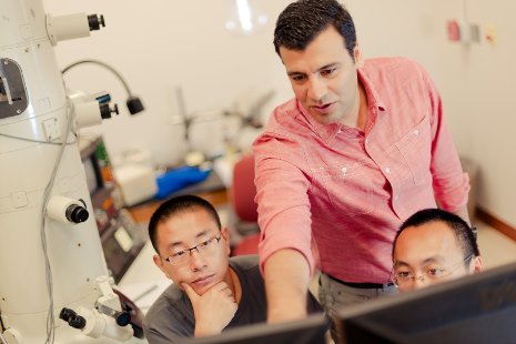 Reza Shahbazian-Yassar, pictured here with students in his lab, aims to make better lithium ion batteries by taking advantage of imperfections in materials. Sarah Bird photo