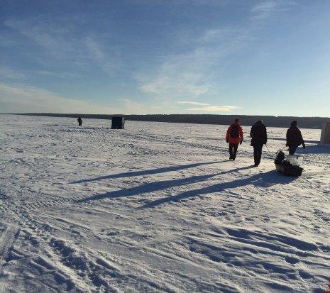 Zhaohui Wang and her assistants walk across L'Anse Bay to test their acoustic network under the ice. 
