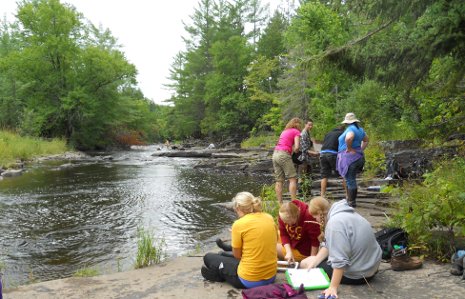 School of Forest Resources and Environmental Science students studying insect ecology and forest health.