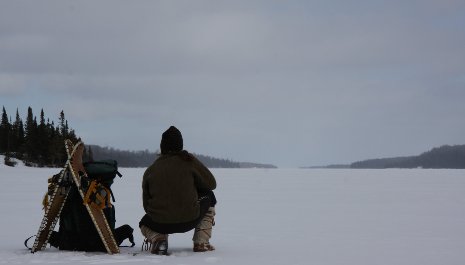 John Vucetich spends part of his winters on Isle Royale, studying moose and wolf ecology. 