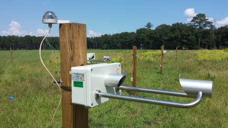 Instruments using optical sensing detect super-terminal raindrops.