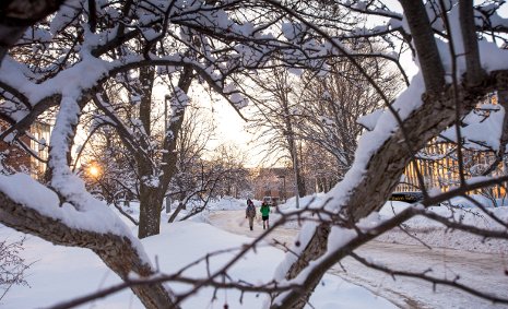 Board of Trustees meets on a snowy February morning at Michigan Tech.