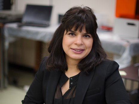 Nina Mahmoudian received a prestigious CAREER Award from the National Science Foundation for her proposal titled "Autonomous Underwater Power Distribution System for Continuous Operation." 