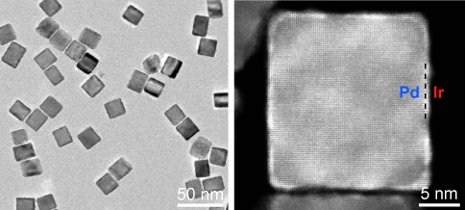 A new catalyst that improves the sensitivity of the standard PSA test more than 100-fold, pictured above, is made of palladium nanocubes coated with iridium.