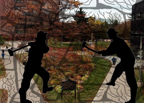 Bird-Window Collisions Designs Kitty Williams' and Jamie Aneshansel's miners design helps birds see and avoid windows.