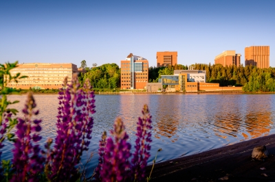 Michigan Tech's campus seen across the Keweenaw Waterway with lupine flowers in the foreground.