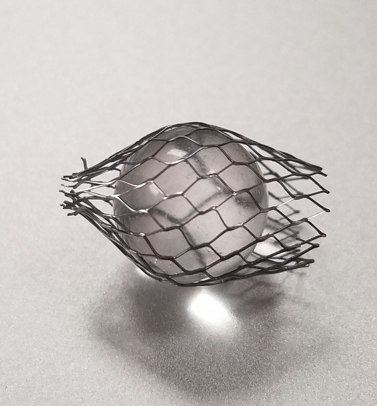 Design Expo Winner 2 This is a proposed design of modified nitinol stent in heart with hypoplastic left heart syndrome created by a biomedical engineering senior design team working with Spectrum Health. The photo won second place in the Design Expo image contest.