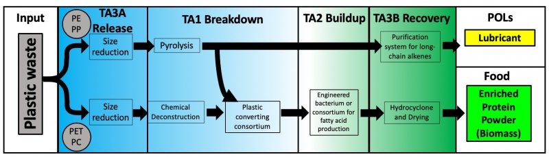 A graphic that describes the process the research team will use to convert plastic waste into food and lubricants.
