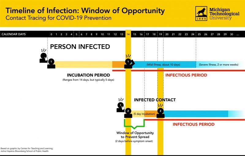 A graphic of the timeline for a COVID-19 infection, disease incubation period, and time it takes to spread to another person.