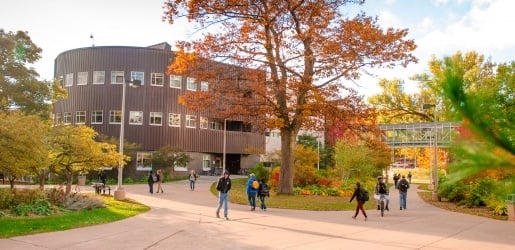 Students walking through campus during the fall