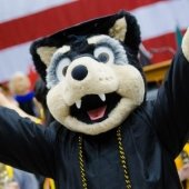 Michigan Tech's mascot, Blizzard T. Husky, at commencement
