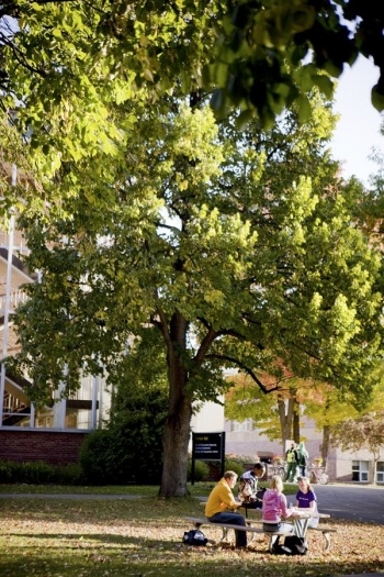 Students sitting at a picnic table under a tree on campus.