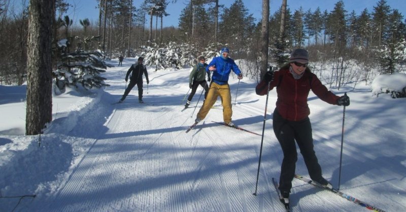 People cross country skiing on a trail.