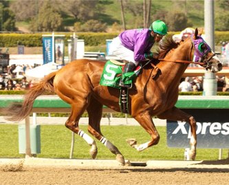 Blaze of Glory Image 1 California Chrome