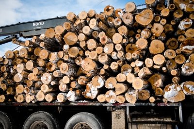 logging truck packed with aspen logs