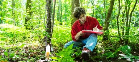 Undergraduate researcher Abe Stone records application of a native fungi on invasive buckthorn trees in a forest near Michigan Technological University.  Stone is looking for effective ways to slow the spread of invasive buckthorn trees, which are rapidly altering the Midwest landscape.