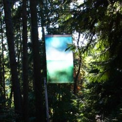 Hanging colored fabric in the woods