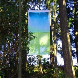 Single piece of hanging dyed fabric in the woods