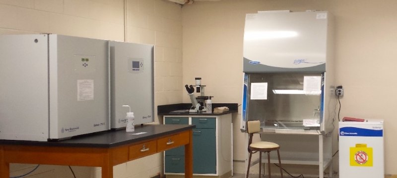 Cell Culture Laboratory