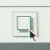 Get Image button