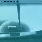 Specimen landing and probe in window.
