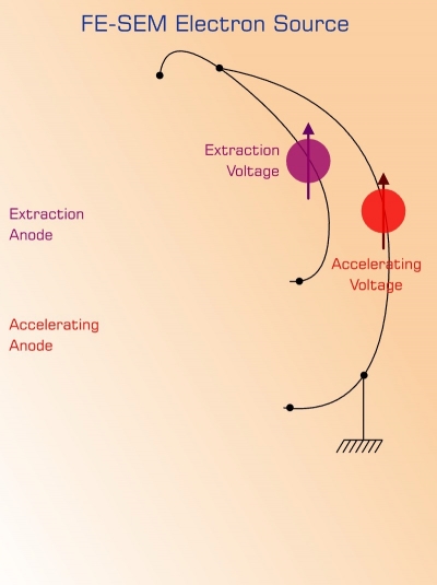 Electron Source set up.