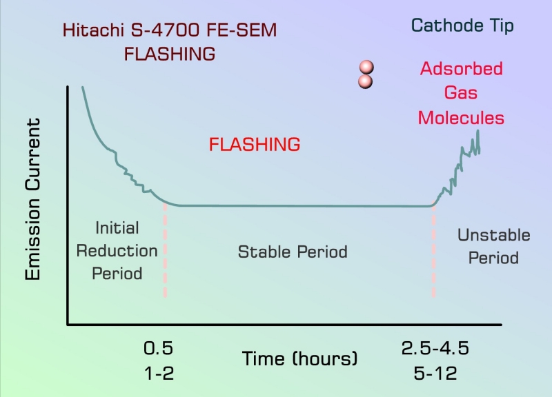 The gas molecules are removed during flashing.