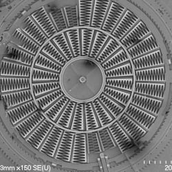 Example of an SEM image showing scale bar and instrument settings.