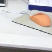 Mouse highlighted on the desk.
