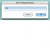 Enter Magnification icon.