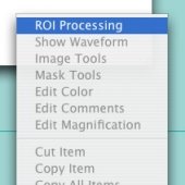 ROI Processing menu icon.