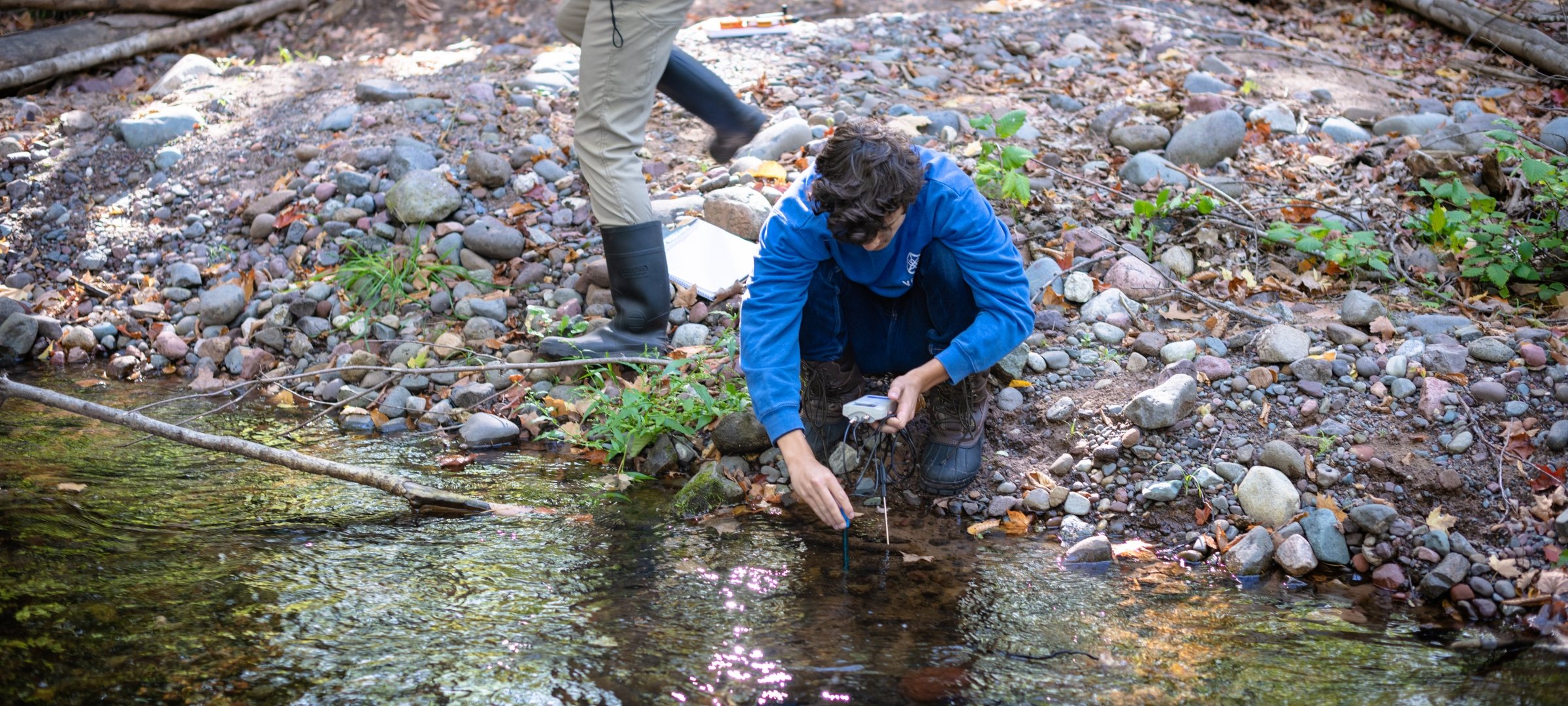 Biology students on a field a lab. Working together.