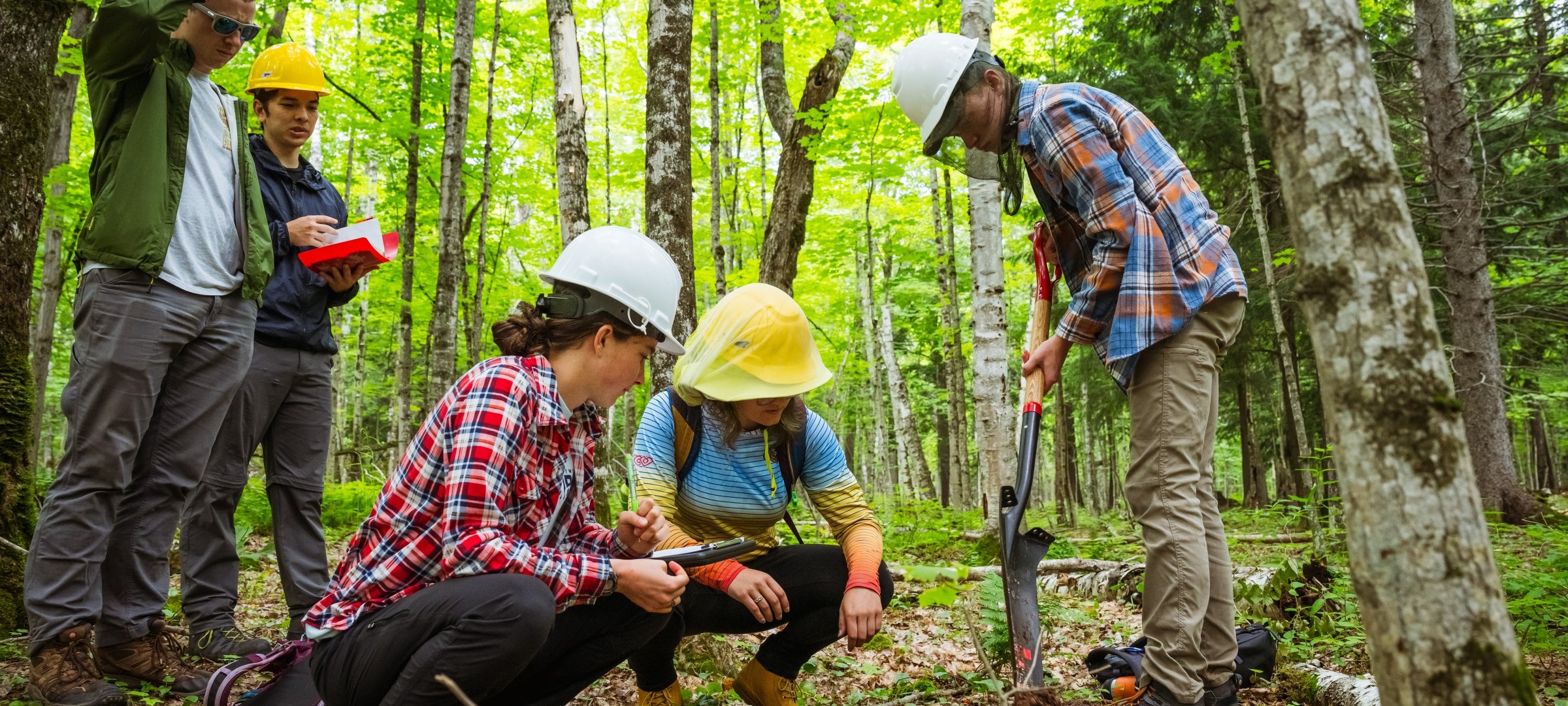 Applied ecology students conducting research in a forest.