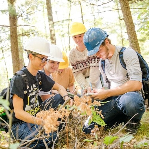 4 students exploring the forest floor and plants