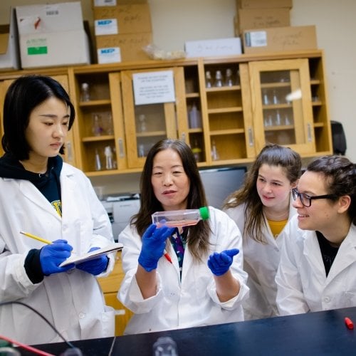 Students looking at a lab