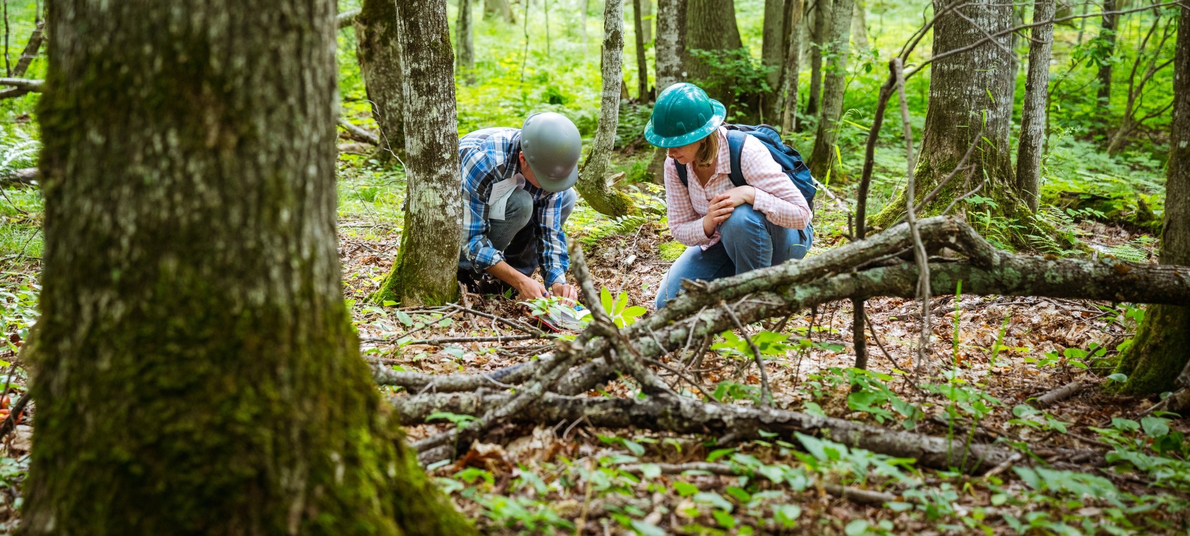 Forestry students out in the field.