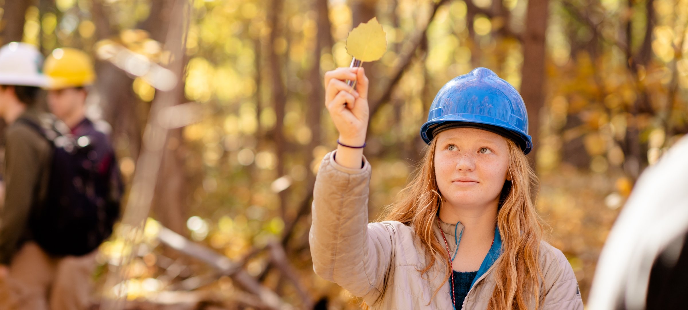 Student looking at a leaf while doing general forestry field study.