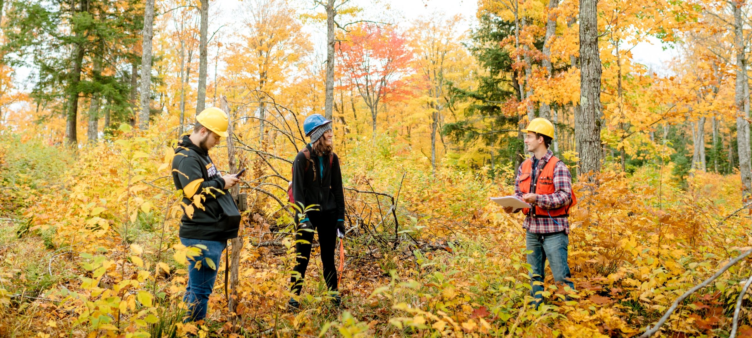 College of Forest Resources and Environmental Science