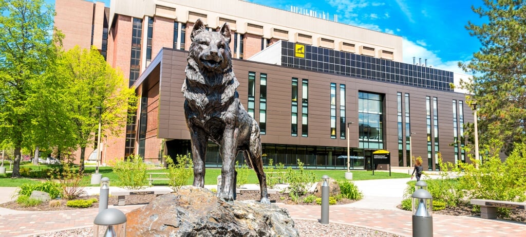 Husky Statue plaza in the middle of campus