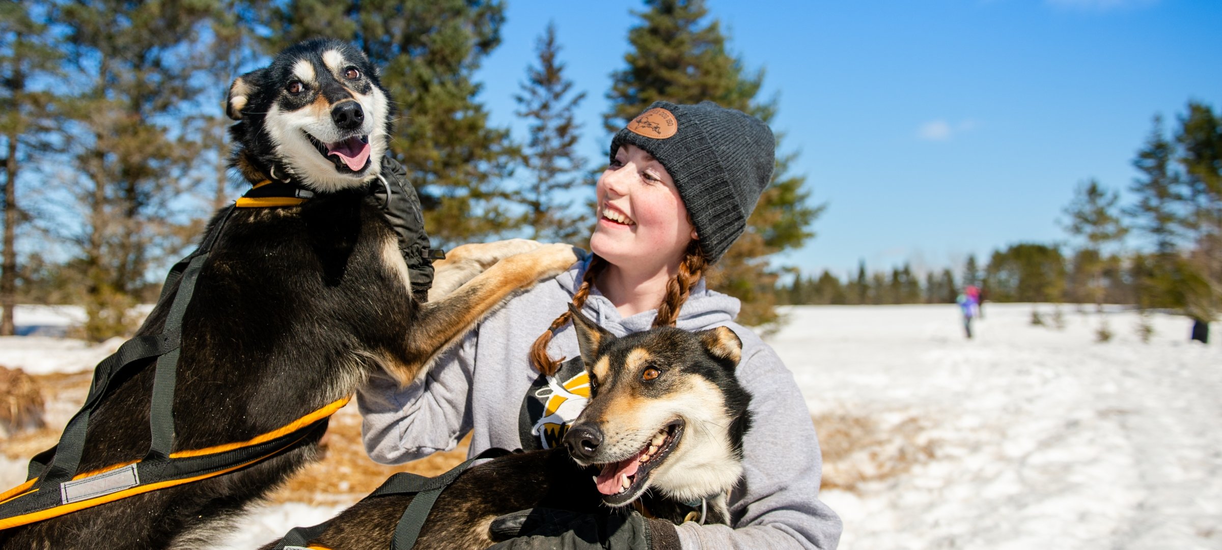 Student with dog sled team.