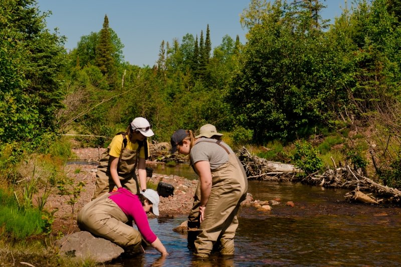 students working in a stream