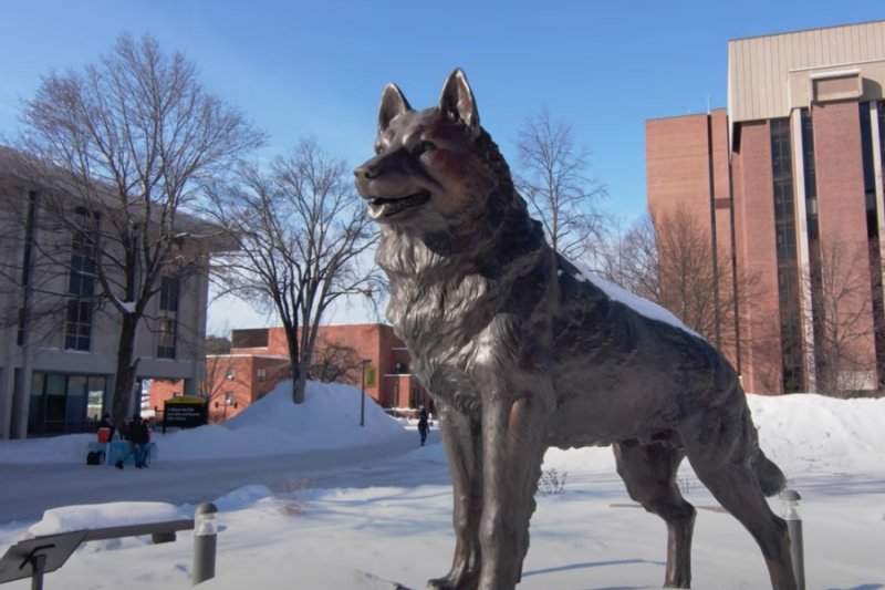 Winter on campus showing the Husky statue