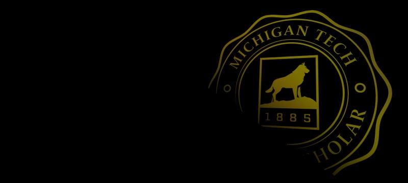 background of Leading Scholar logo