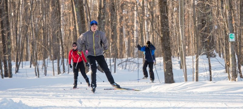 Alumni skiing on the Tech trails.